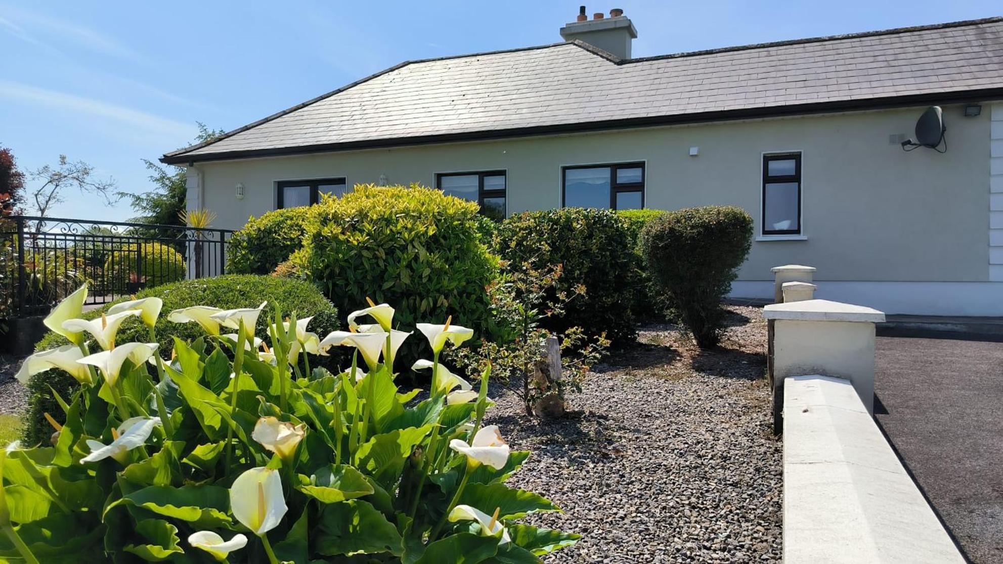 Swinford Country House Exterior photo